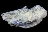 Vibrant Blue Kyanite Crystal - Brazil #80384-1